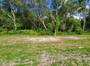 LOT 89 Treiman Blvd, Dade City, FL 33523