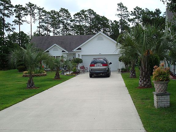 Palm lined driveway.