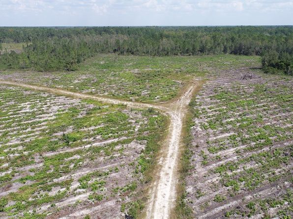 0 County Line Rd, Hinesville, GA 31313