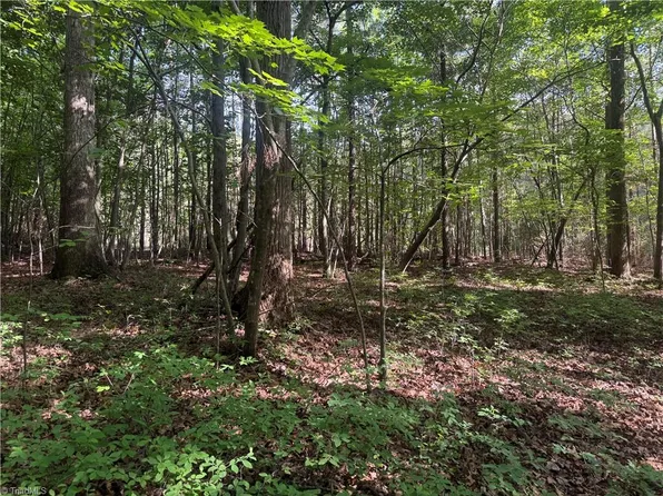 TRACT 2 Dover Church Rd, Seagrove, NC 27341