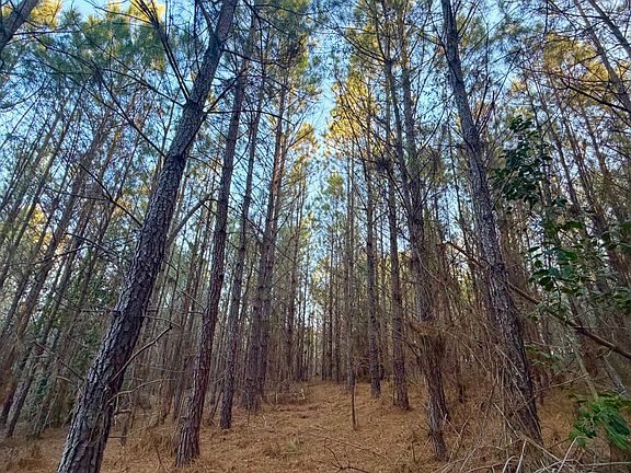 4th image of 0 Amityville Rd #1