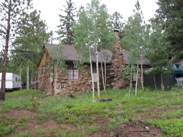 46 Road P67, Bailey, CO 80421
