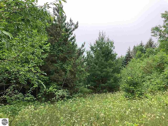4th image of N McLeod Dr