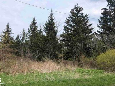 3119 Copeland Rd, Port Austin, MI, 48467