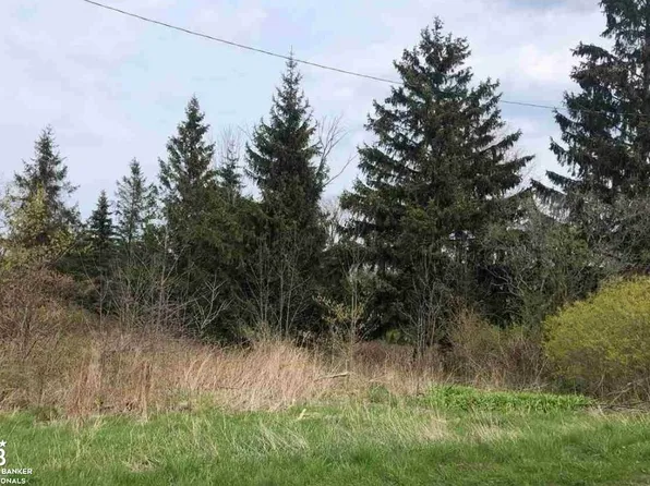 3119 Copeland Rd, Port Austin, MI 48467