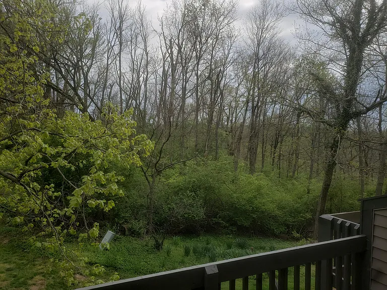 2923 Prospect Point Dr — Photo 6
