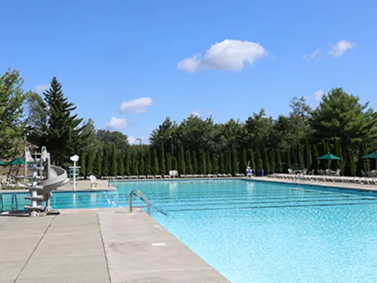 Cayuga Dr — Photo 13