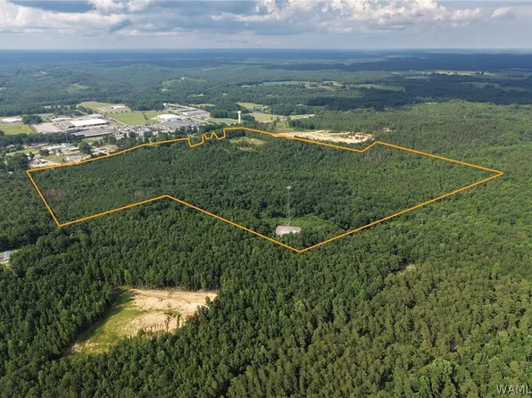 0 Lonestar Dr, Hamilton, AL 35570