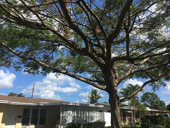 Shade in Front of the House