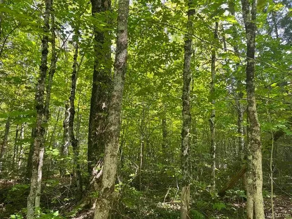 Tbd Norlund Rd, Ironwood, MI 49938