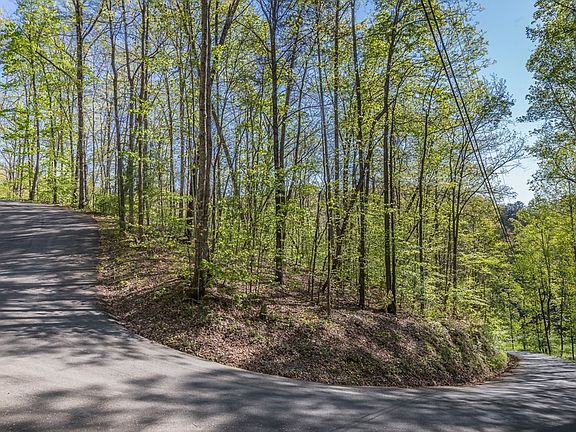5th image of 111 Hatcher Mountain Rd #11-&