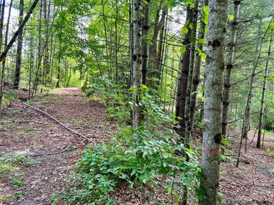 0 Crabtree Woods Rd #11-20-23, Spruce Pine, NC, 28777