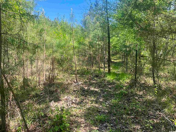 Swinnea Road Part Of 13 #8, Okolona, AR 71962 | MLS #24012834 | Zillow