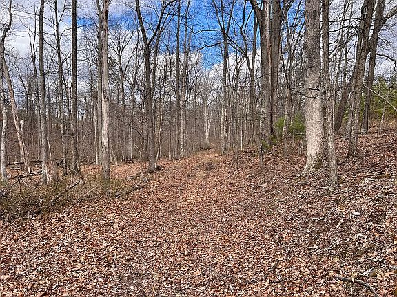 5th image of 597 Middle Fork Rd