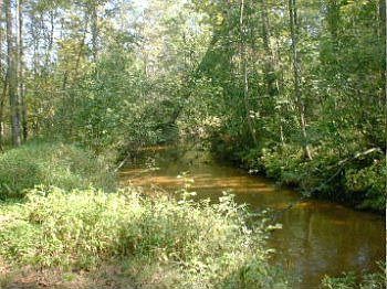 1st image of 3611 Huckelberry Trl