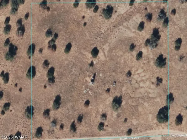 1822 McAllister Ave, Heber, AZ 85928