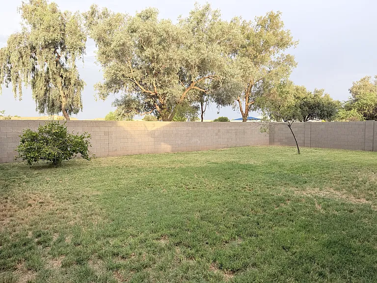 6517 N 79th Dr — Photo 19
