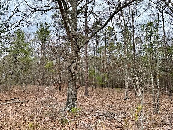 4th image of Dry Creek Rd