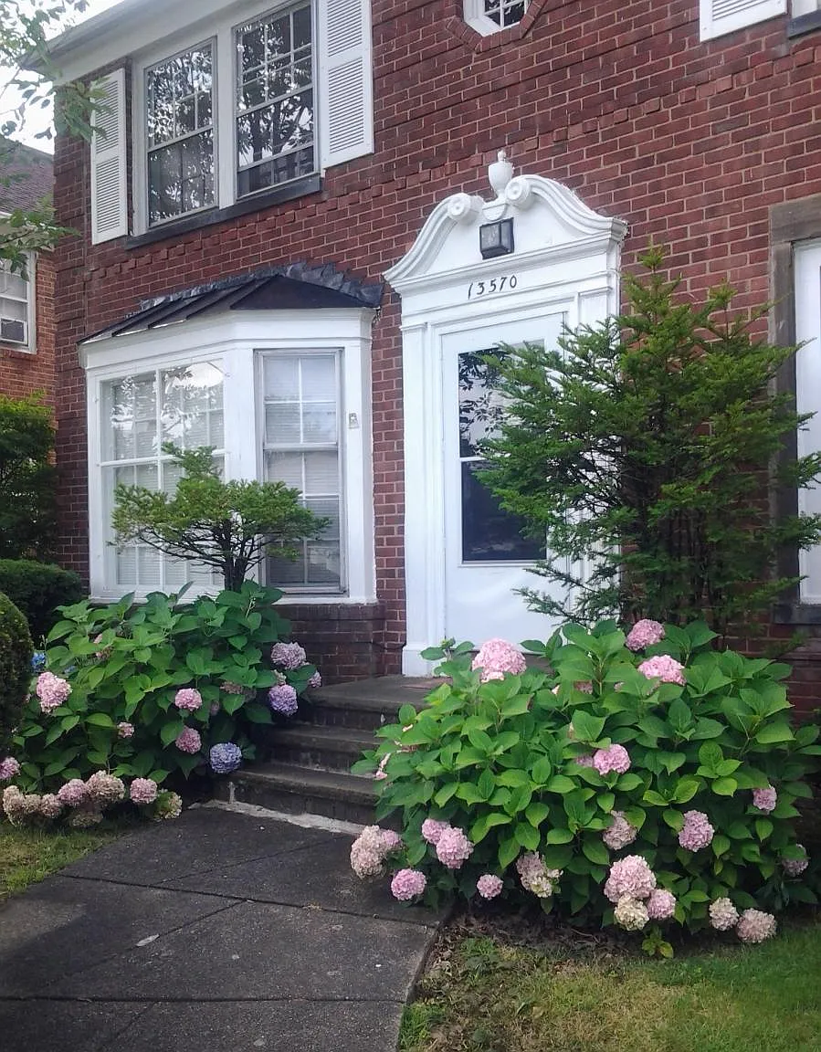 3 bed, 1350 sqft, $1,500 — Photo 1