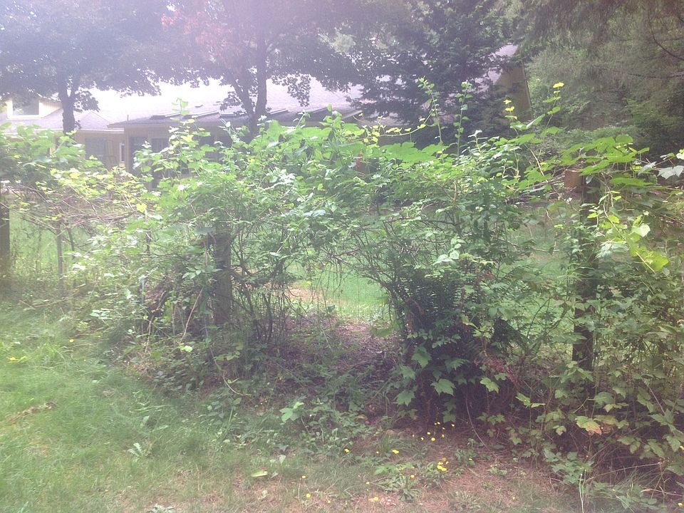 1st image of 21700 NE 109th St