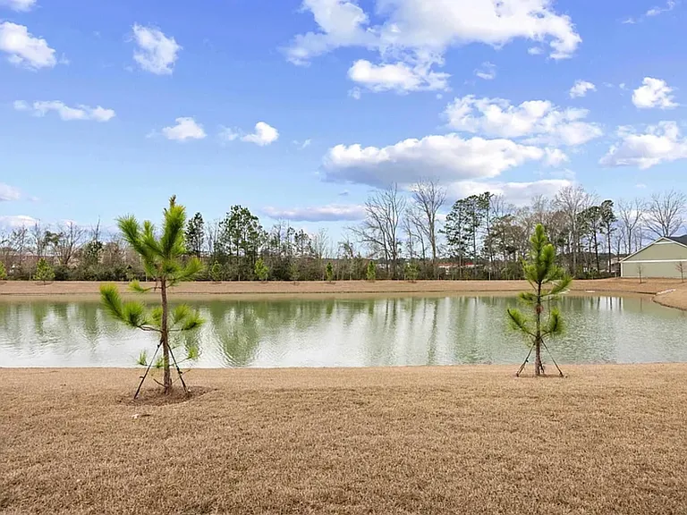 1141 Blueback Herring Way — Photo 28