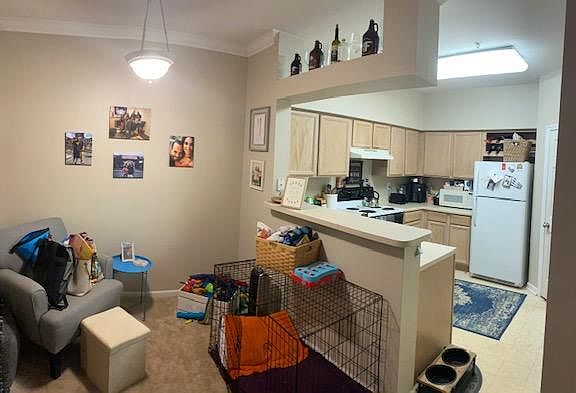 3rd image of 700 Daniel Ellis Dr APT 14106
