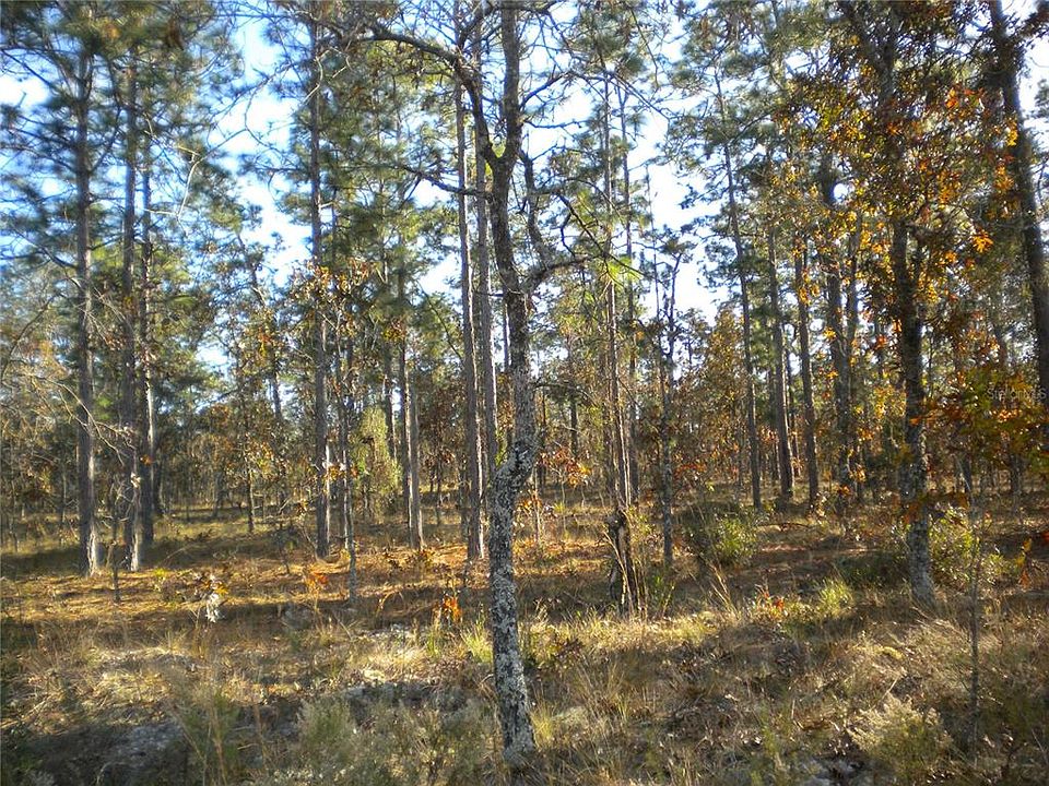 1st image of LOT #6 NW COLUMBINE AVENUE LOT 06