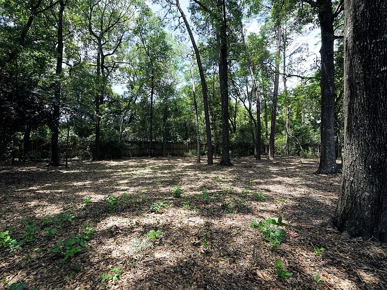 2419 Rocky Shores Dr — Photo 45