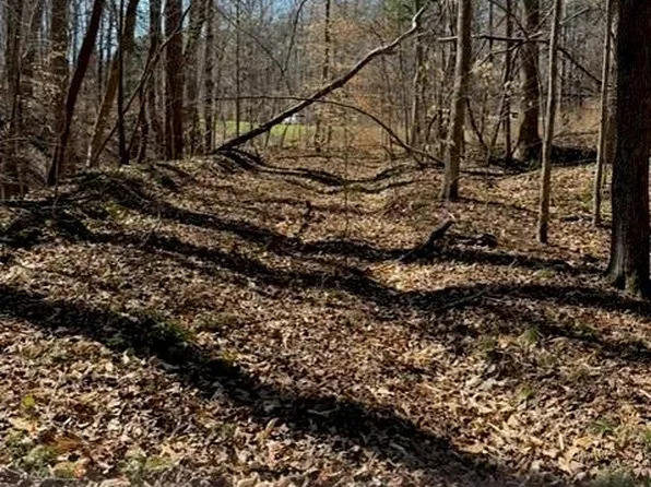 0 State Highway 801 S Lot 9, Advance, NC 27006