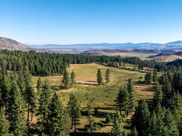 19320 89 Highway, Markleeville, CA 96120