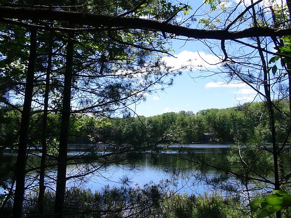 4th image of Pearl Lake Rd
