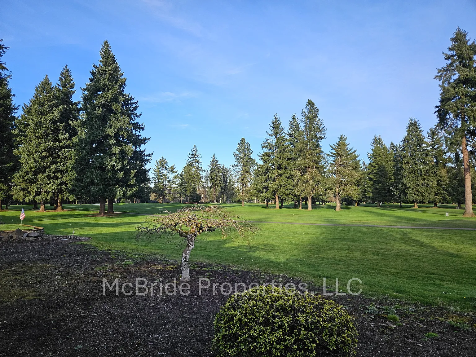 3 bed, 1528 sqft, $2,900 — Photo 4