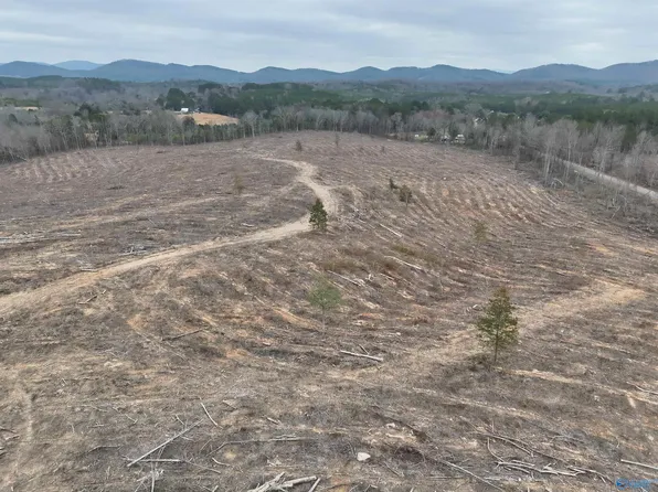 County Road 75, Cedar Bluff, AL 35959