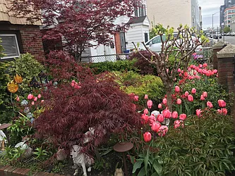 Rented by Amorelli Realty