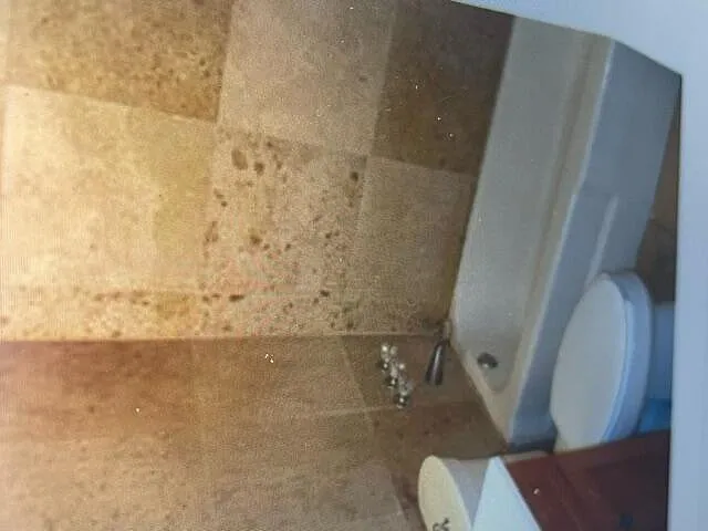 2 bed, 1.0 bath, 770 sqft, $1,800 — Photo 1