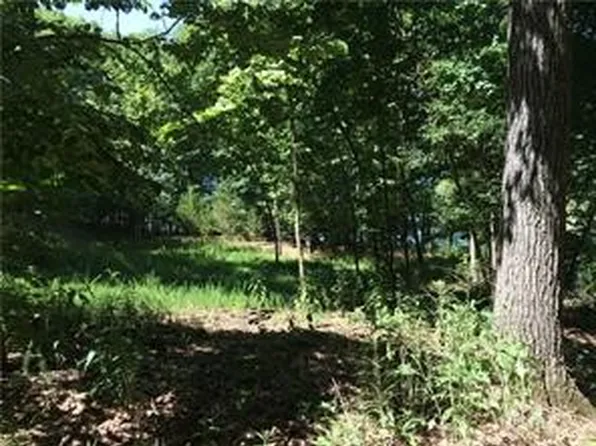Off 152 37, Eureka Springs, AR 72632