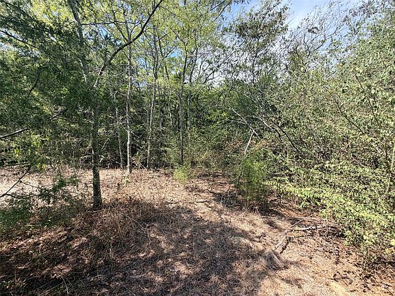 3rd image of County Road 3824