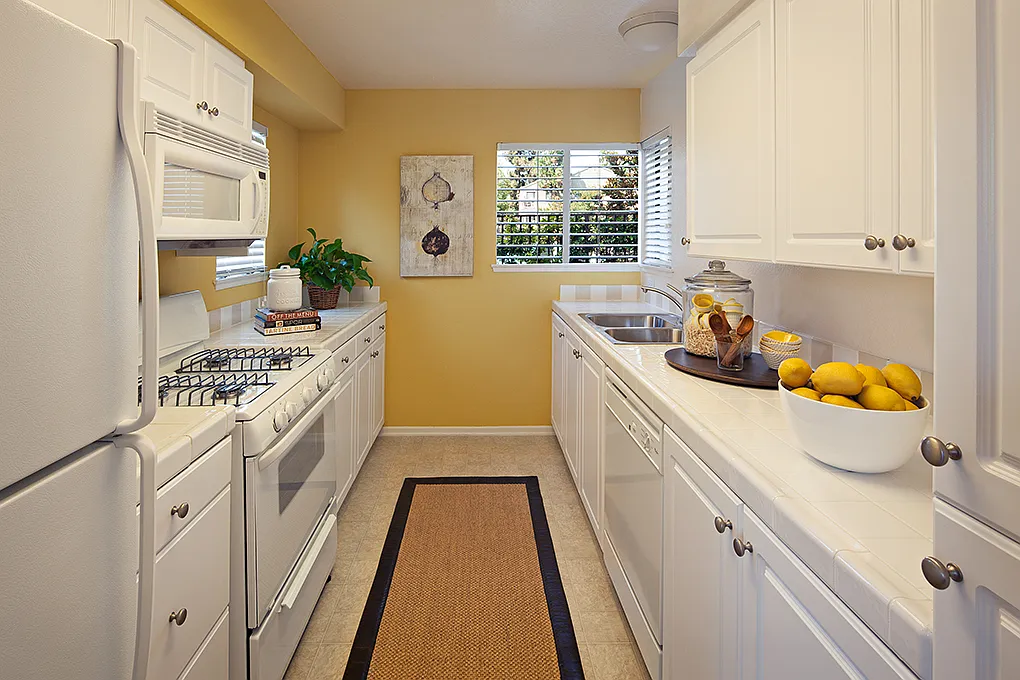 Windwood Knoll Apartment Homes — Photo 2