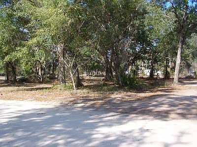 2nd image of 107 Magnolia Ave
