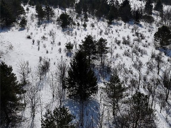 4th image of Reynolds Rd