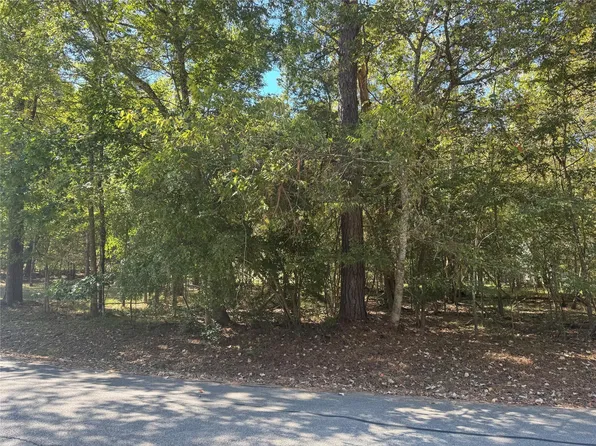 176 N Fairway Loop, Coldspring, TX 77331