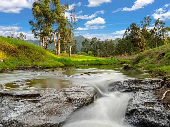 2818 Kamookoa #Apt 5, Kilauea, HI 96754