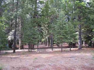 931 Long Iron Dr #4, Chester, CA 96020