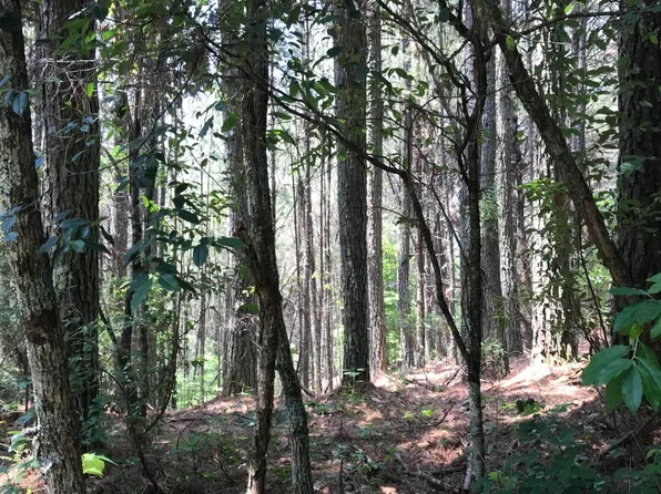 0 Hiwassee St, Copperhill, TN 37317