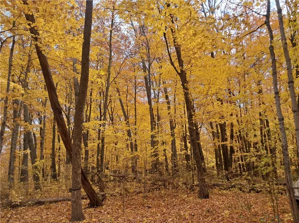 Lot 3 310th Avenue, Frederic, WI 54837