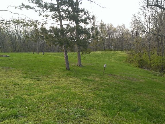 looking at back yard