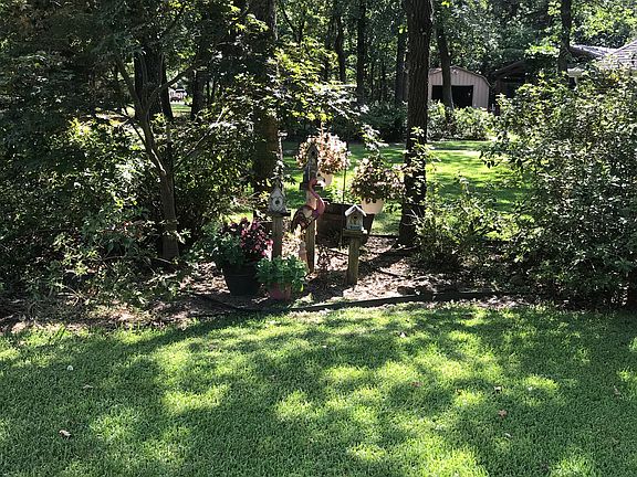 Front yard 