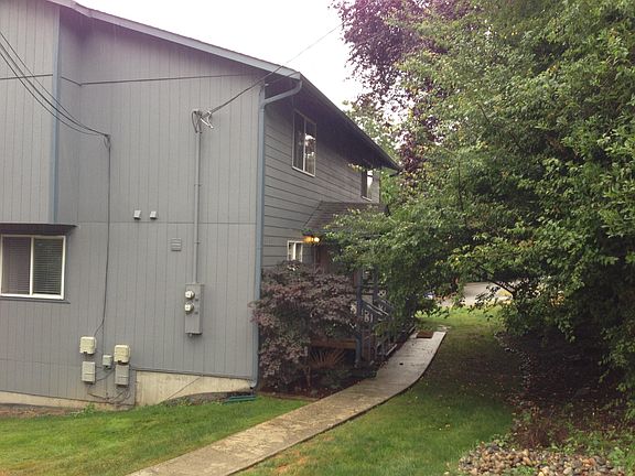 Front yard with some trees and plants.