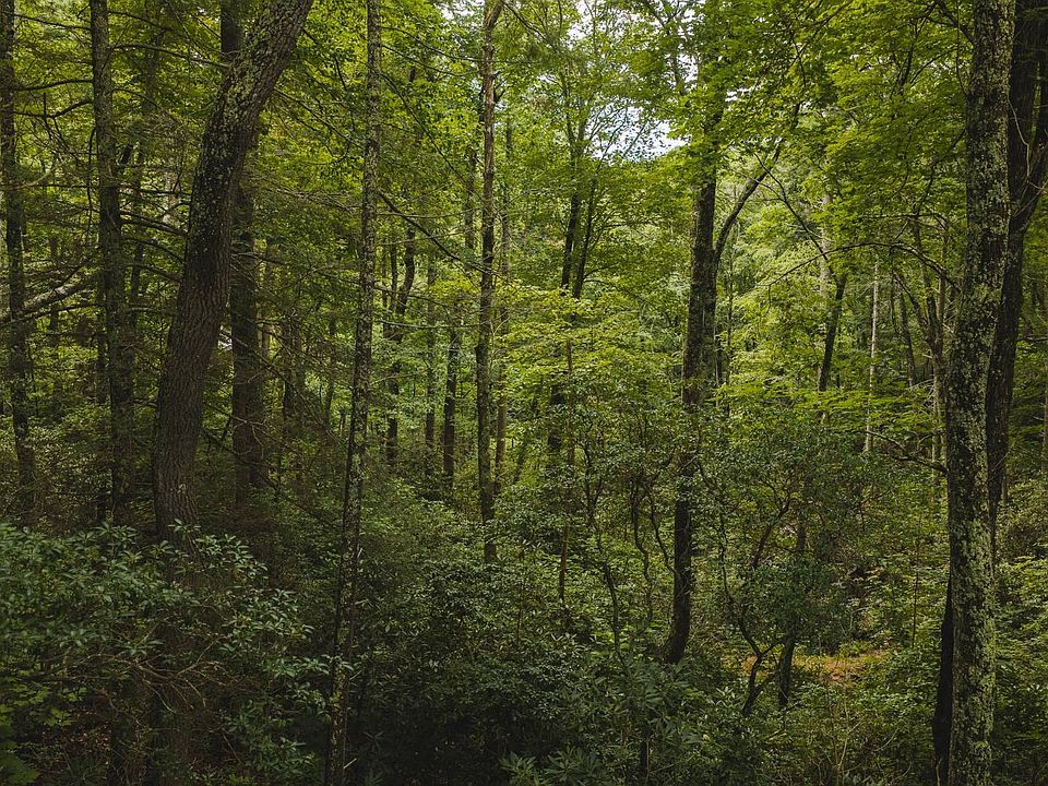 1st image of Yankee Run Dr