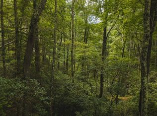 Yankee Run Dr, Marion, NC 28752